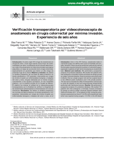 Verificación transoperatoria por videocolonoscopia