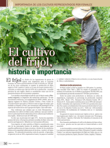 El cultivo del frijol, historia e importancia.