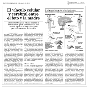 EL MUNDO: El vínculo celular y cerebral entre el feto y la madre