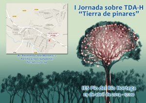 TDA-H Tierra de Pinares med