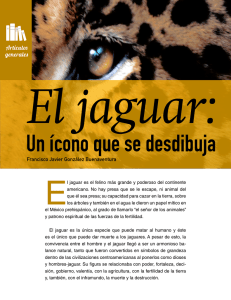 El jaguar es el felino más grande y poderoso del continente