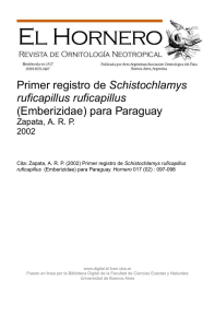 Primer registro de Schistochlamys ruficapillus ruficapillus