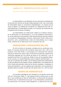 24. hidrocefalias en el adultologo pdf