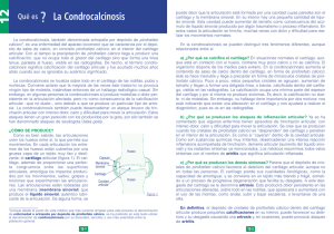 La Condrocalcinosis - Liga Reumatologica Española (LIRE)
