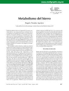 Metabolismo del hierro