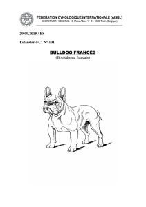 bulldog francés - Fédération Cynologique Internationale