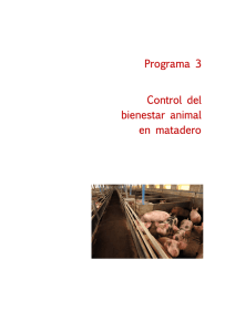 Programa 3 Control del bienestar animal en matadero