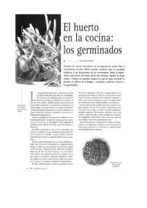 los germinados.