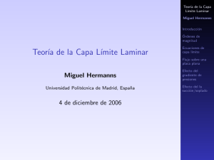 Teoría de la Capa Límite Laminar - Universidad Politécnica de Madrid
