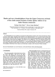 Sharks and rays (chondrichthyes) from the Upper Cretaceous red beds