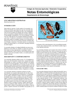 PDF En Español Cucarachas Alemanas