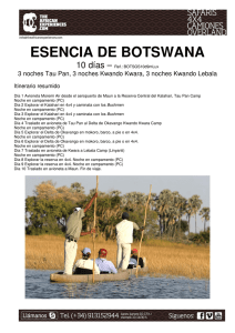 esencia de botswana - TheAfricanExperiences.com