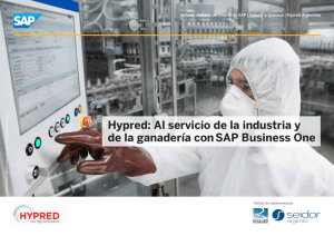 Hypred - SAP® Business One Argentina / Seidor Argentis