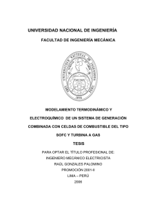 modelamiento termodinamico de un sistema de cogeneracin