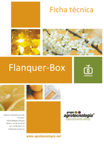 Flanquer-Box
