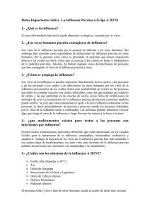 Datos Importantes Sobre La Influenza Porcina o Gripe A H1N1