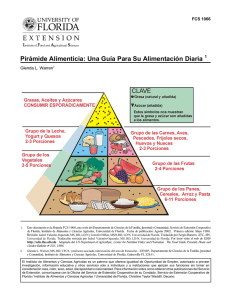 Pirámide Alimenticia: Una Guía Para Su Alimentación Diaria 1