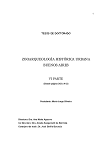 Zooarqueología Histórica Urbana de Buenos Aires (parte 6)