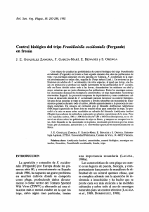 Control biológico del trips Frankliniella occidentalis (Pergande) en