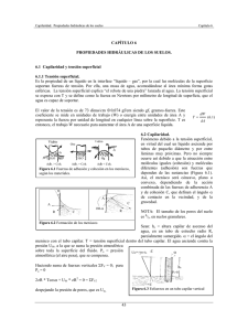 PDF (CAP6: Capilaridad. Propiedades hidráulicas de los suelos.)