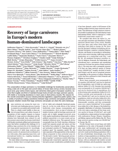 Recovery of large carnivores in Europe`s modern human