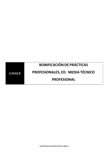 Inf Com Mixta_Beca Practica Tecnico Prof_1er sem