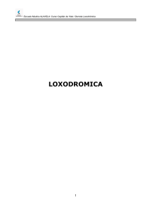 derrota loxodromica