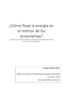 ¿Cómo fluye la energía en el interior de los ecosistemas?