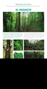 Recuperació i restauració de formacions boscoses de tilio