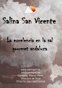 La excelencia en la sal gourmet andaluza