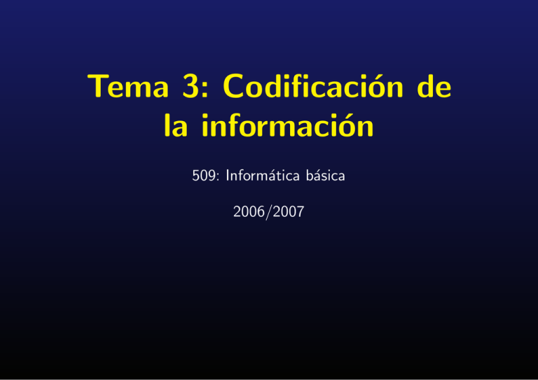 Codificación de la información
