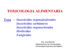 Insecticidas organoclorados - Universidad Autónoma de Madrid