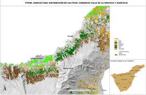 Distribución de cultivos: Comarca Acentejo y Valle de La Orotava