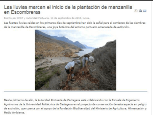 Las lluvias marcan ei inicio de la plantaciün de manzaniiia F en