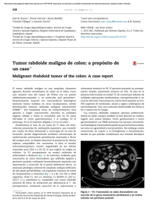 Tumor rabdoide maligno de colon: a propo´ sito de un caso