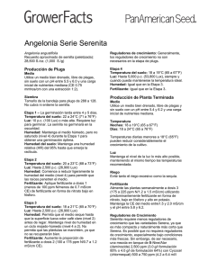 Angelonia Serie Serenita
