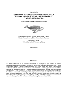 Identidad y heterogeneidad poblacional de la ballena jorobada en