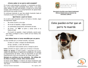 Como puedes evitar que un perro te muerda