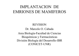 Implantación de embriones de mamíferos