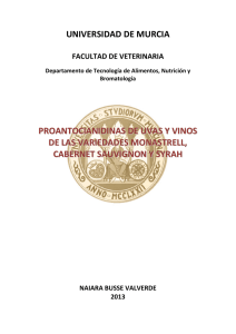 universidad de murcia proantocianidinas de uvas y vinos de