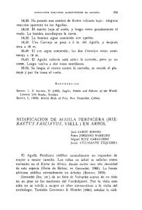 NIDIFICACIÓN DE ÁGUILA PERDICERA (HIERAAETUS