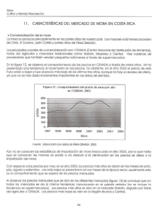 caracteristicas del mercado de mora en costa rica