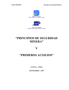 “principios de seguridad minera” y “primeros auxilios”