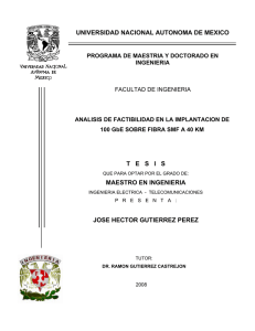 universidad nacional autonoma de mexico tesis maestro en