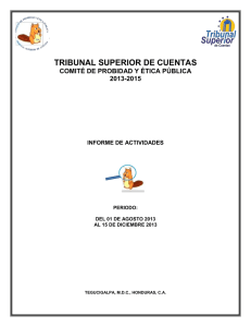Tribunal Superior de Cuentas (2013)
