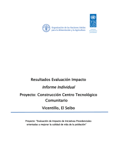 Informe Individual - PNUD en República Dominicana