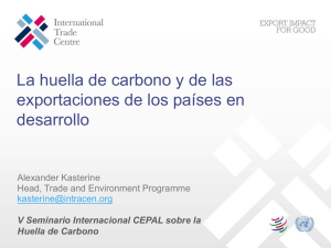 Carbon footprinting and exports in developing countries