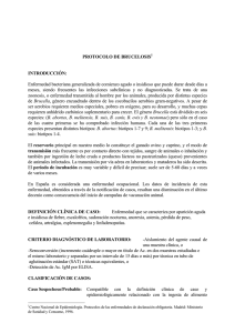 Protocolo - Gobierno de Canarias