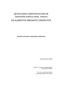 DETECCIÓN E IDENTIFICACIÓN DE Salmonella enterica subsp
