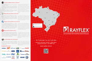 www.rayflex.com.br